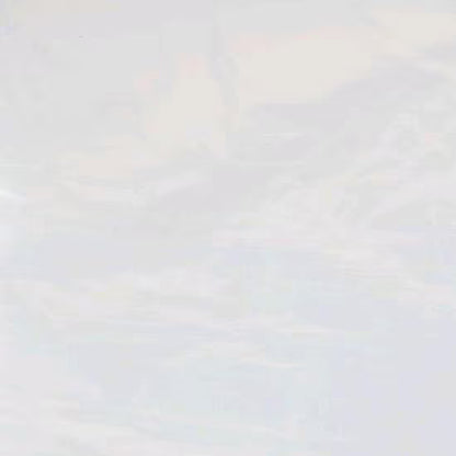 Travellife Abdeckfolie Transparent - 300 x 400 cm
